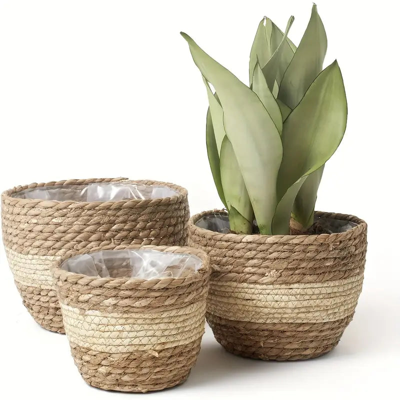 Siopsrl| Decorative plant baskets made of seagrass in a set of 3 – Handwoven flower pots with foil insert