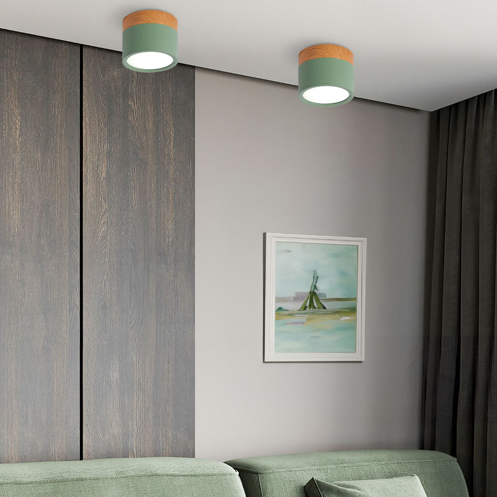 Siopsrl| LED Ceiling Light Modern Flush Mount Cylinder
