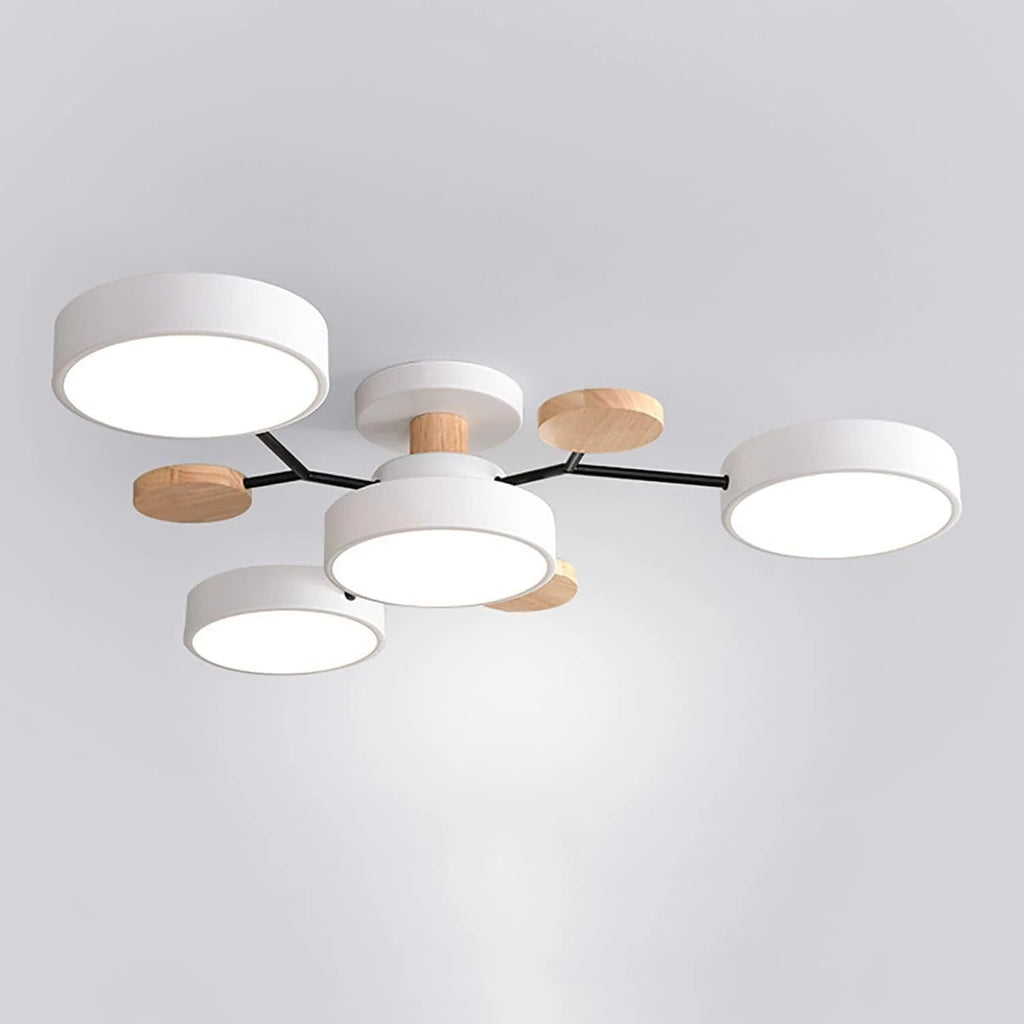 Siopsrl| Ceiling Light Modern LED Flush Mount Chandelier