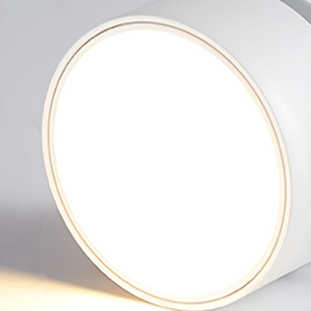 Siopsrl| LED Ceiling Light with Adjustable Spotlight Head