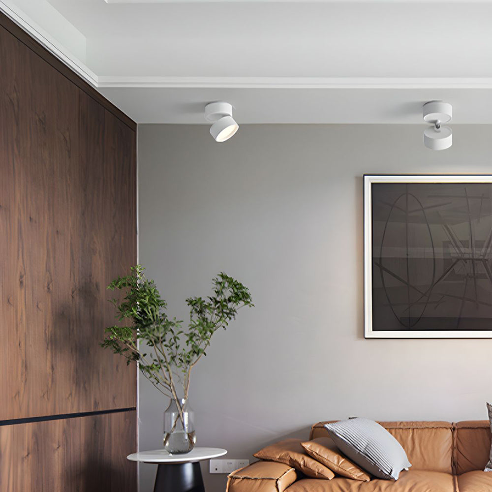 Siopsrl| LED Ceiling Light with Adjustable Spotlight Head