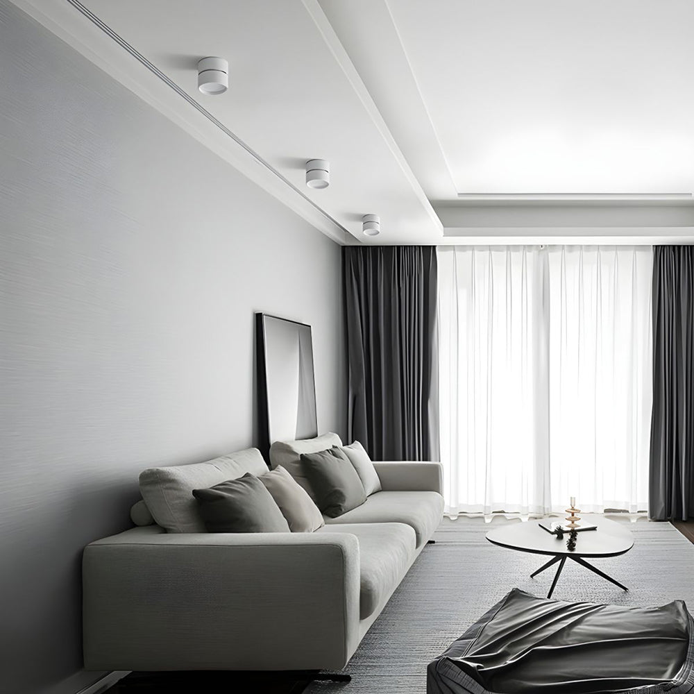 Siopsrl| LED Ceiling Light with Adjustable Spotlight Head