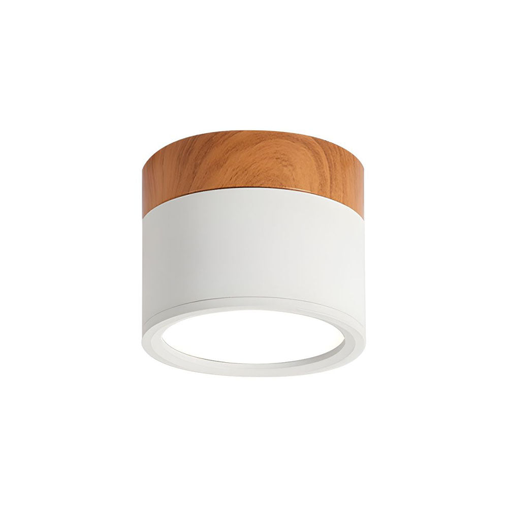 Siopsrl| LED Ceiling Light Modern Flush Mount Cylinder