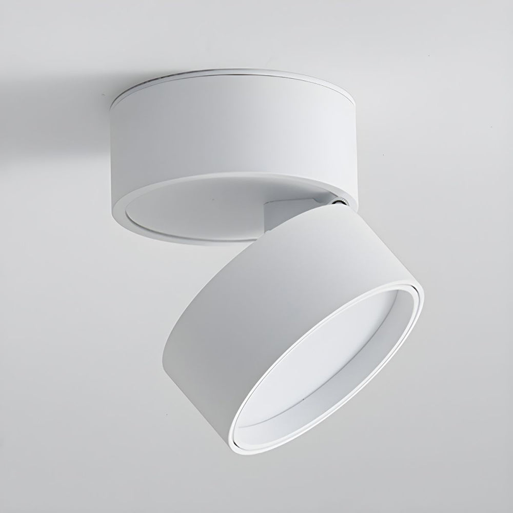 Siopsrl| LED Ceiling Light with Adjustable Spotlight Head