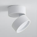 Siopsrl| LED Ceiling Light with Adjustable Spotlight Head