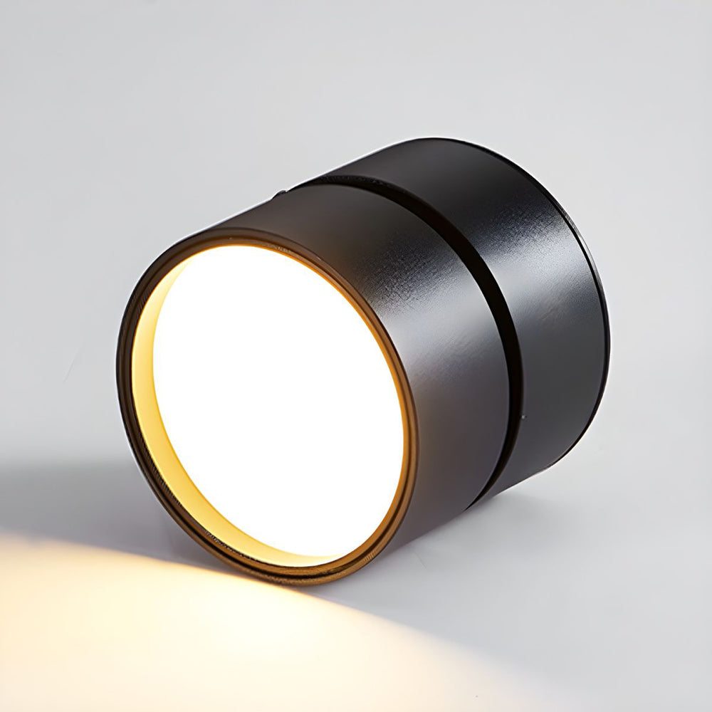 Siopsrl| LED Ceiling Light with Adjustable Spotlight Head
