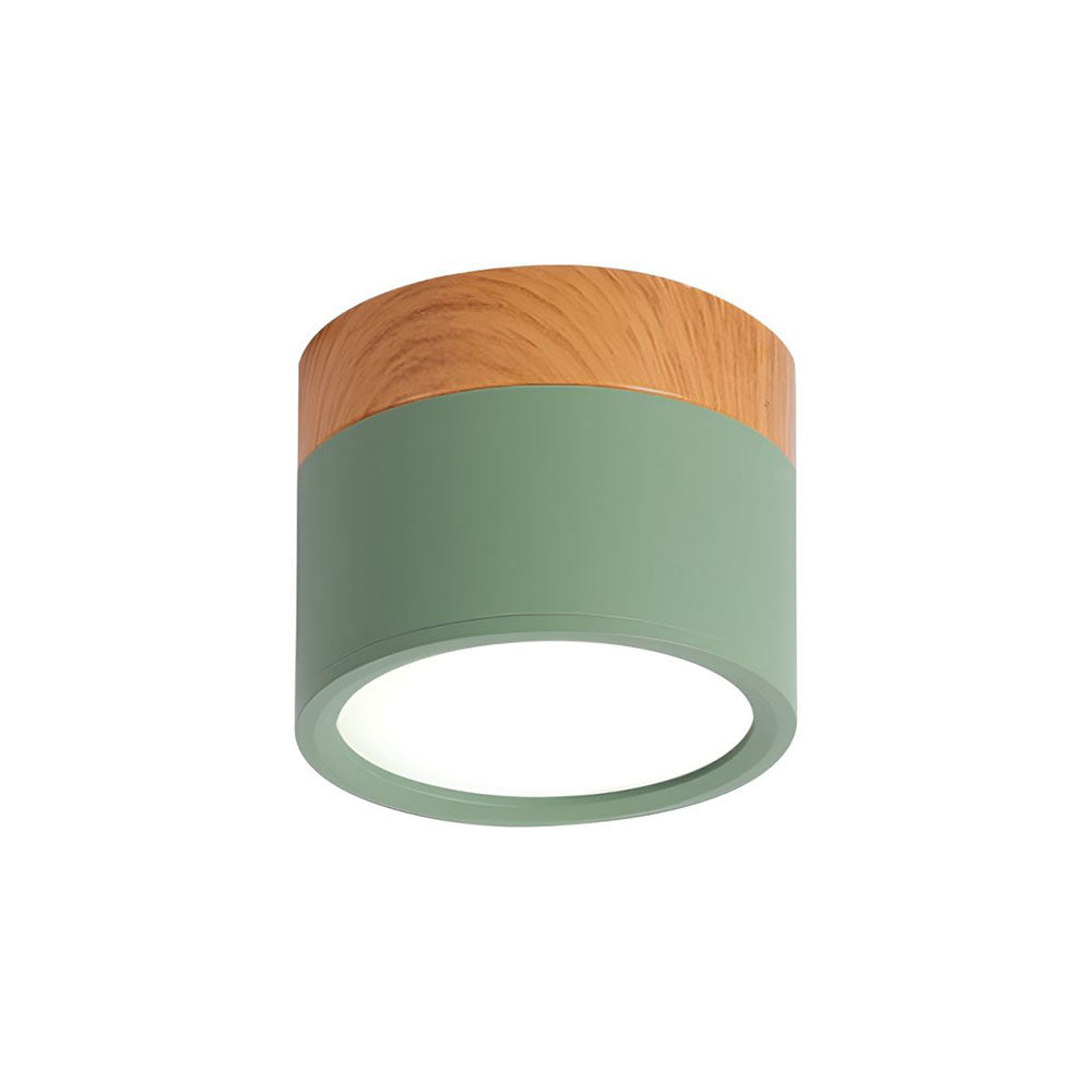 Siopsrl| LED Ceiling Light Modern Flush Mount Cylinder