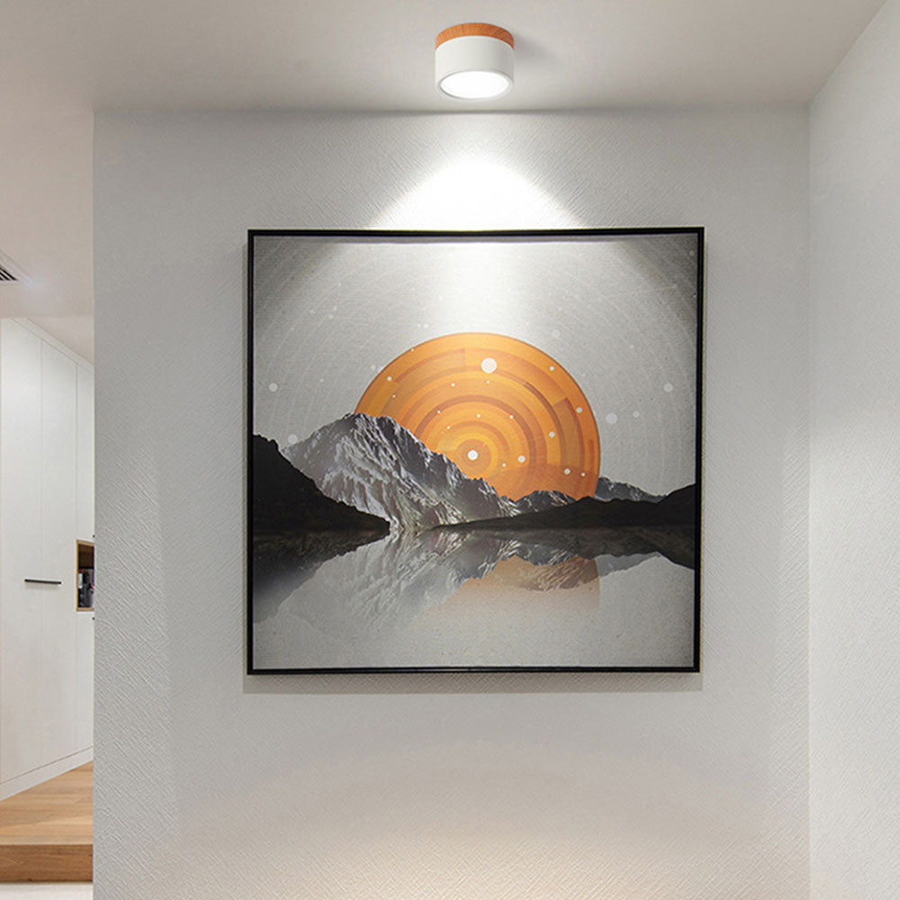 Siopsrl| Ceiling Light with Pink Flush Wood Finish