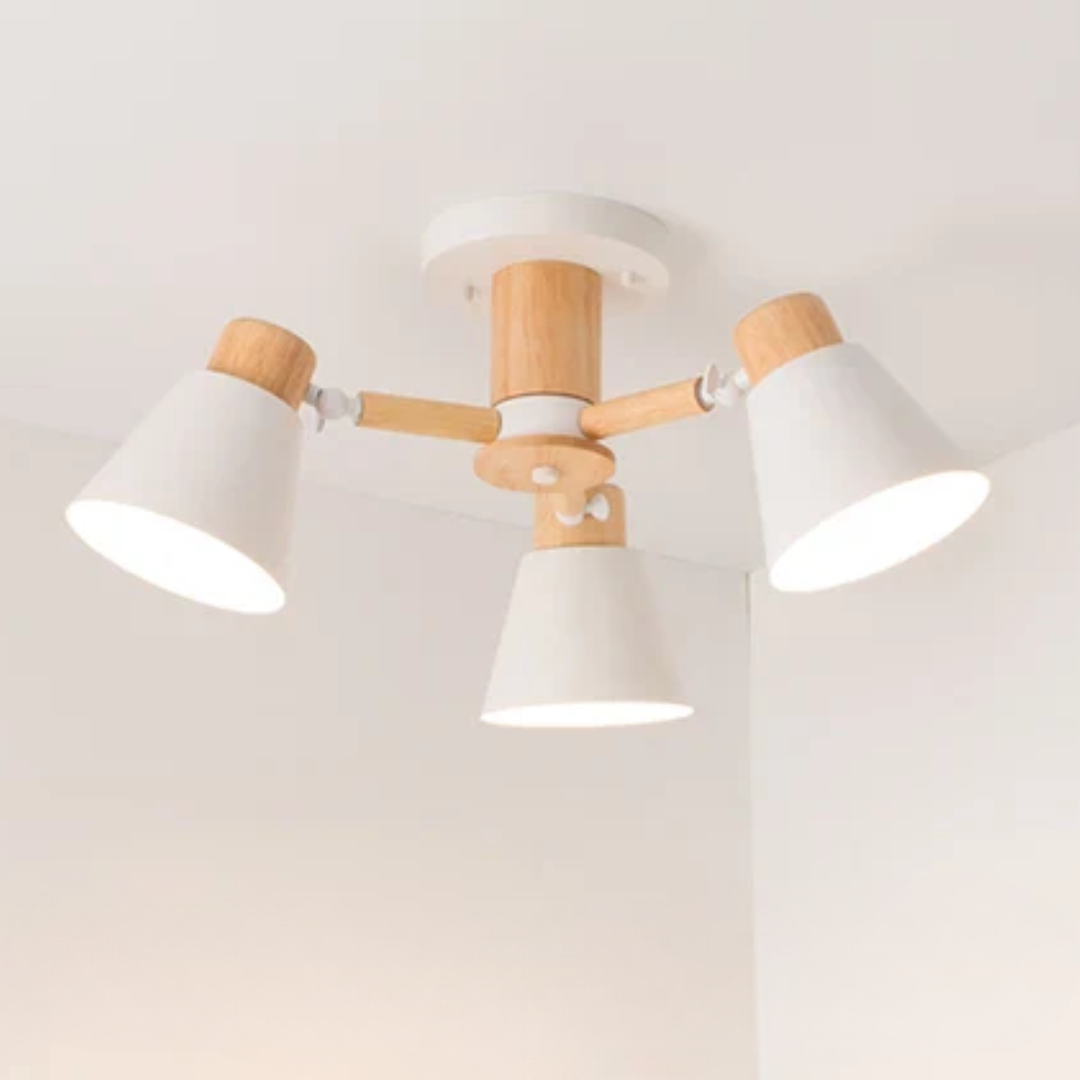 Siopsrl| LED Ceiling Lamp