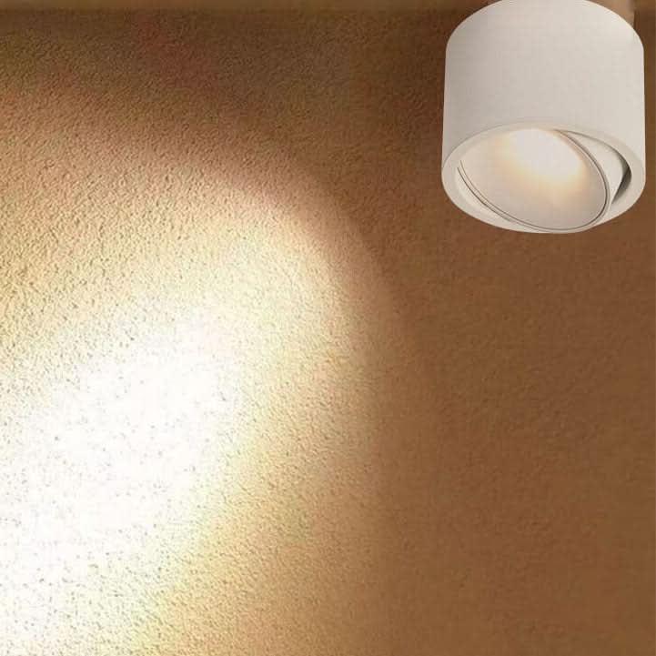 Siopsrl| Adjustable LED Flush Mount Ceiling Spotlight