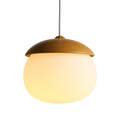Siopsrl| Nordic Wood Glass Pendant Light – Modern Design