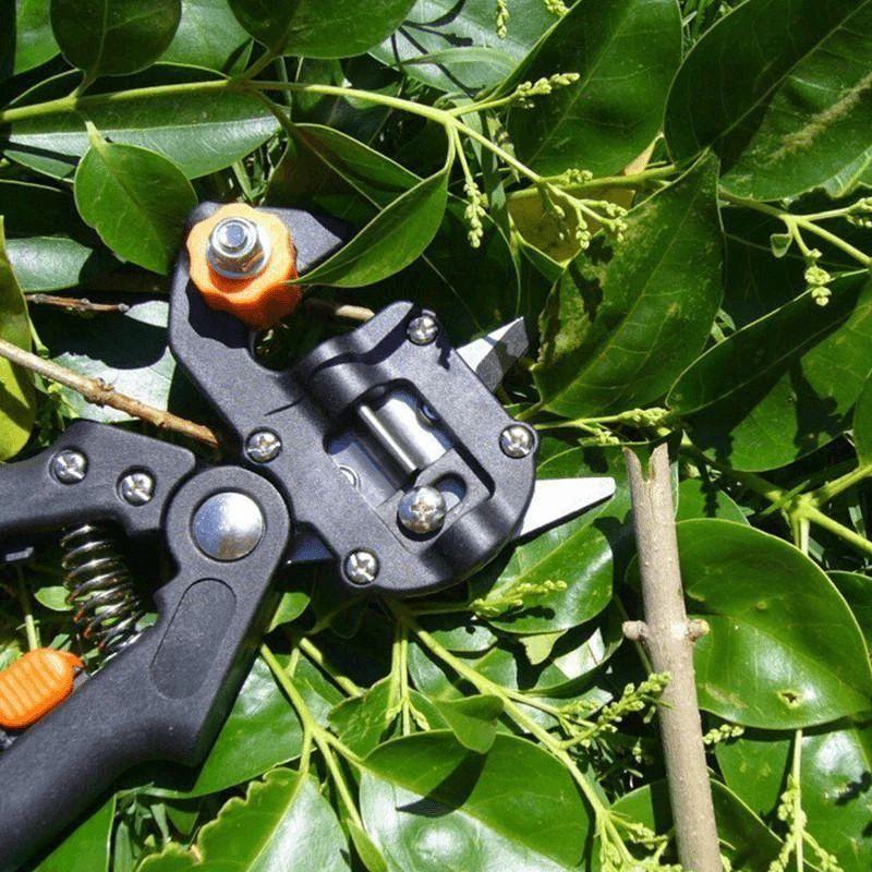 Siopsrl| Professional Garden Grafting Tool Kit