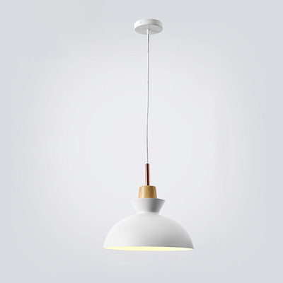 Siopsrl| AuroraLite Nordic Pendant Light | Metal Design | 1-Light | Modern Color Options