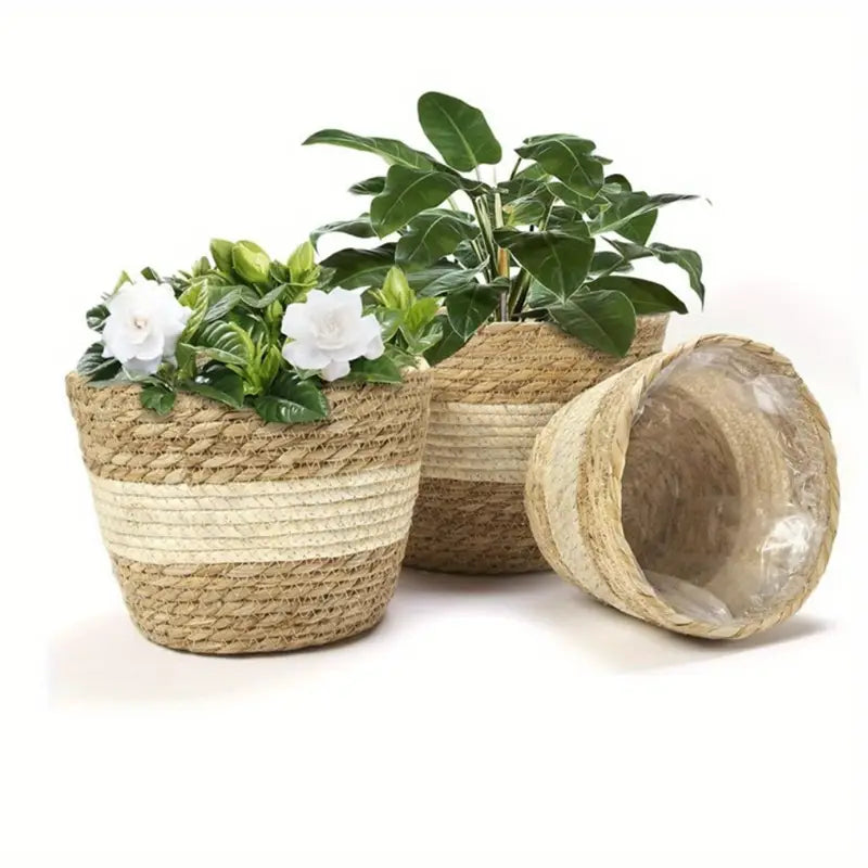 Siopsrl| Decorative plant baskets made of seagrass in a set of 3 – Handwoven flower pots with foil insert