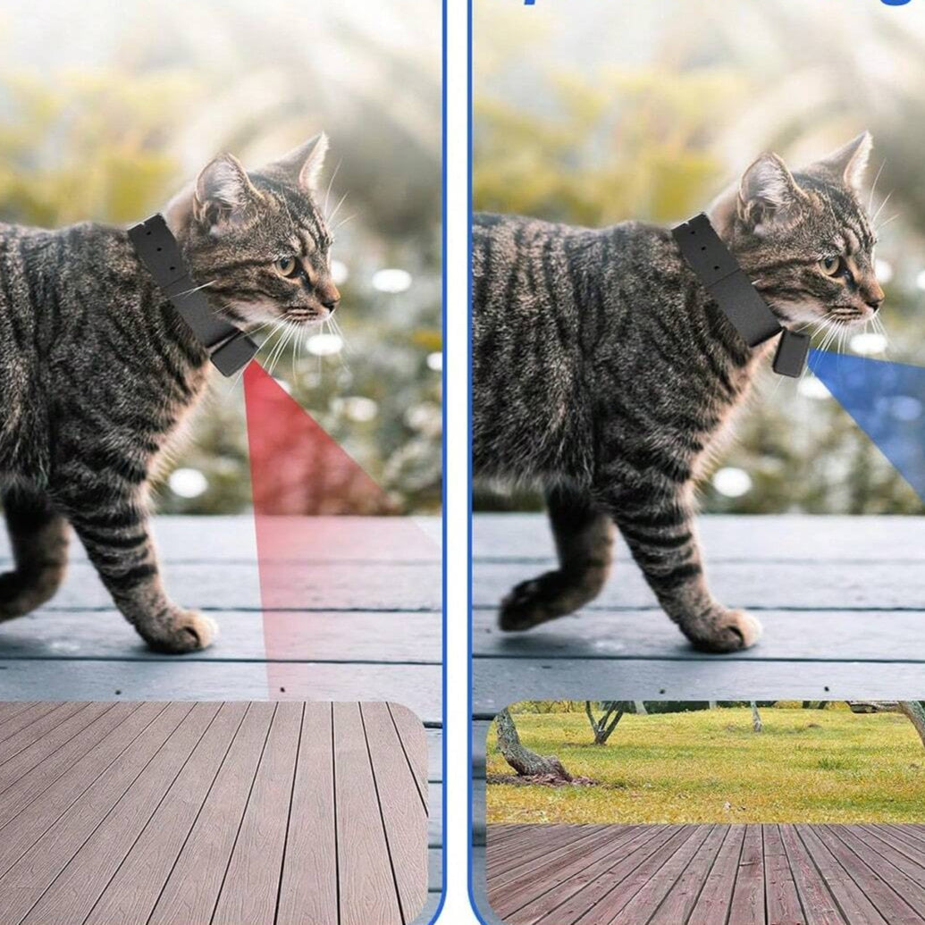 Siopsrl | Portable 160° Pet Camera for Cats & Dogs with 1080P HD Video – 32GB