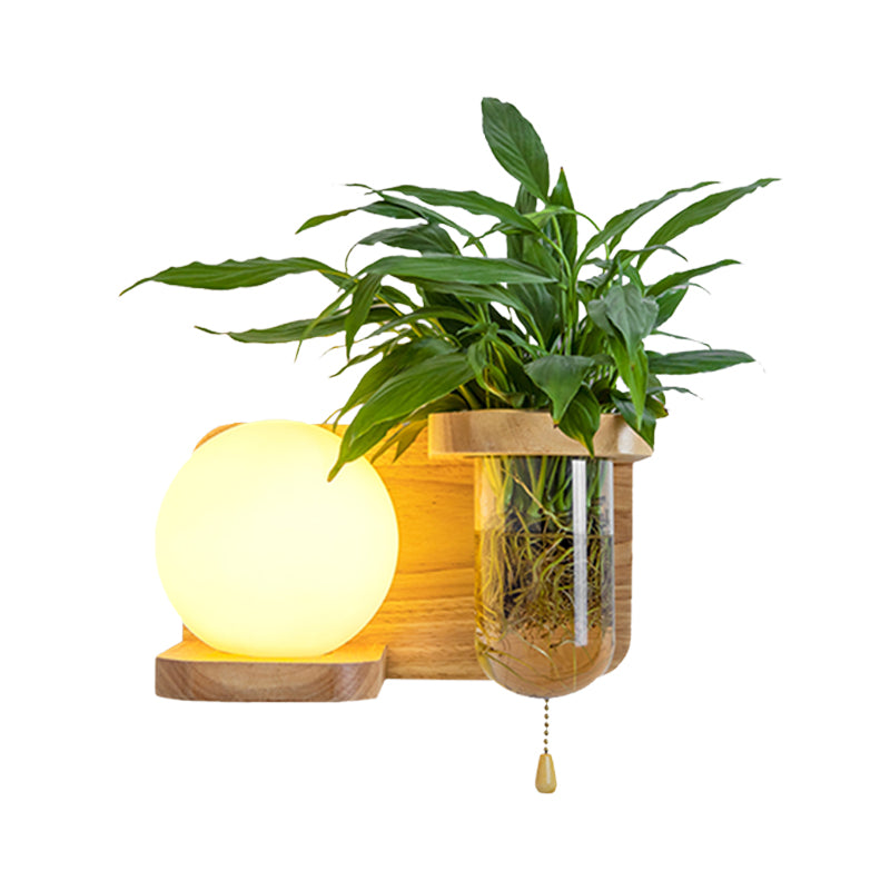 Siopsrl| Wood Globe/Cylinder Wall Sconce Nordic Cream Glass 1 Light Bedroom Wall Lamp with Plant Pot and Pull Chain