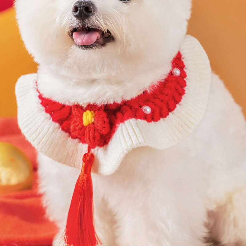 Wool collar for pets, knitted design