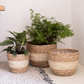 Siopsrl| Decorative plant baskets made of seagrass in a set of 3 – Handwoven flower pots with foil insert