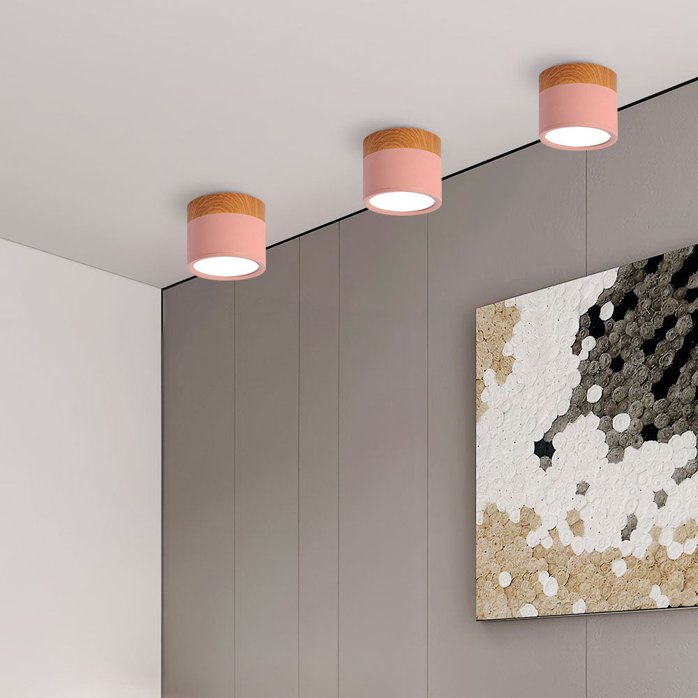 Siopsrl| LED Ceiling Light Modern Flush Mount Cylinder