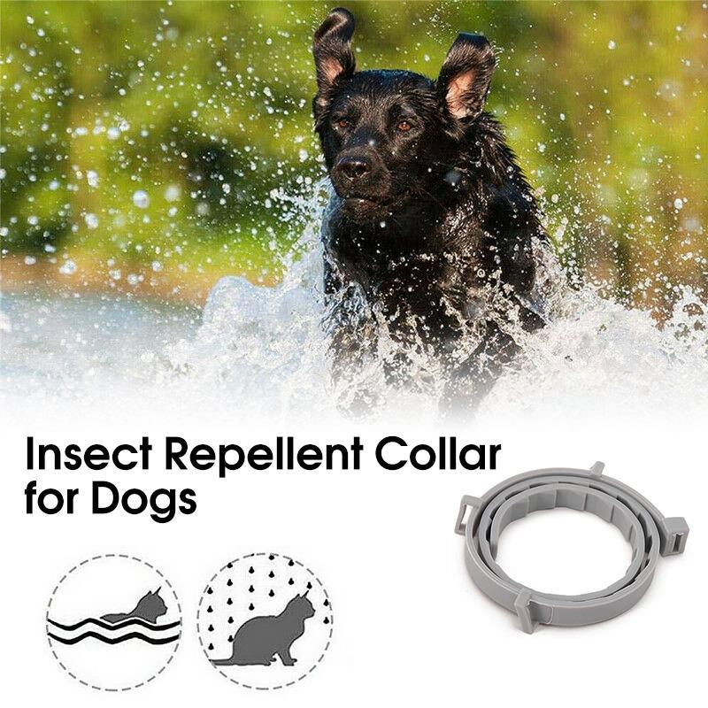 Siopsrl| Adjustable Insect Defense Collar for Pets