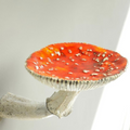 Siopsrl| Floating Mushroom Shelf