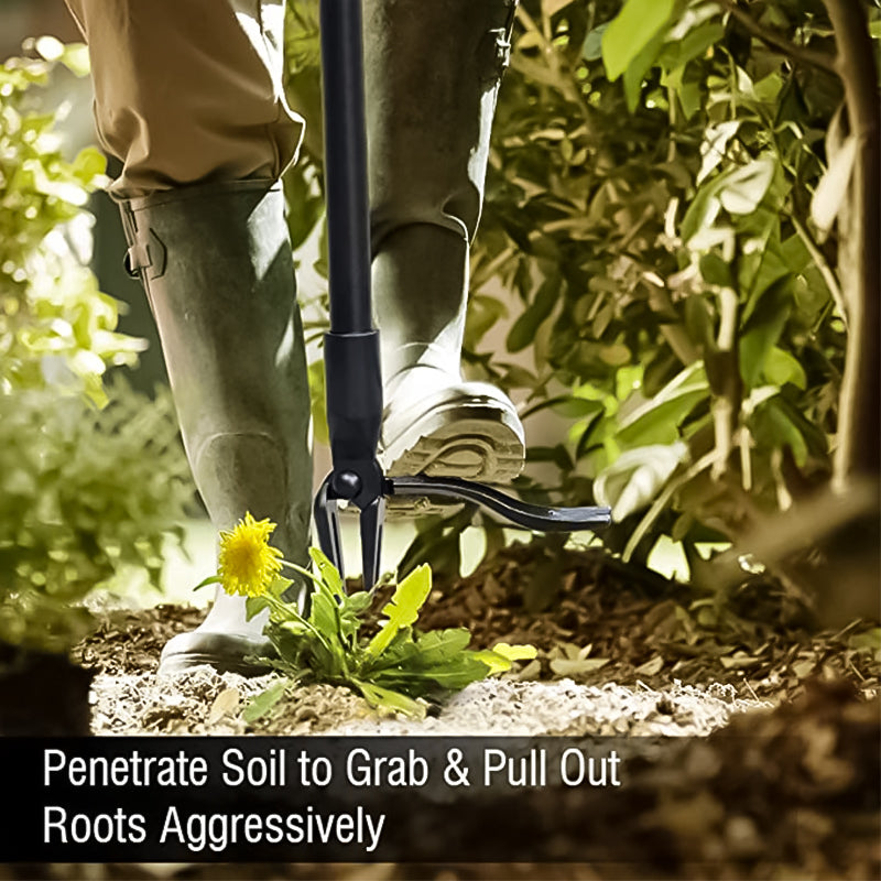 Siopsrl| New removable weeder