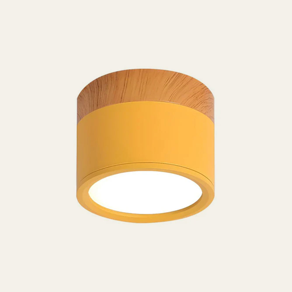 Siopsrl| LED Ceiling Light Modern Flush Mount Cylinder