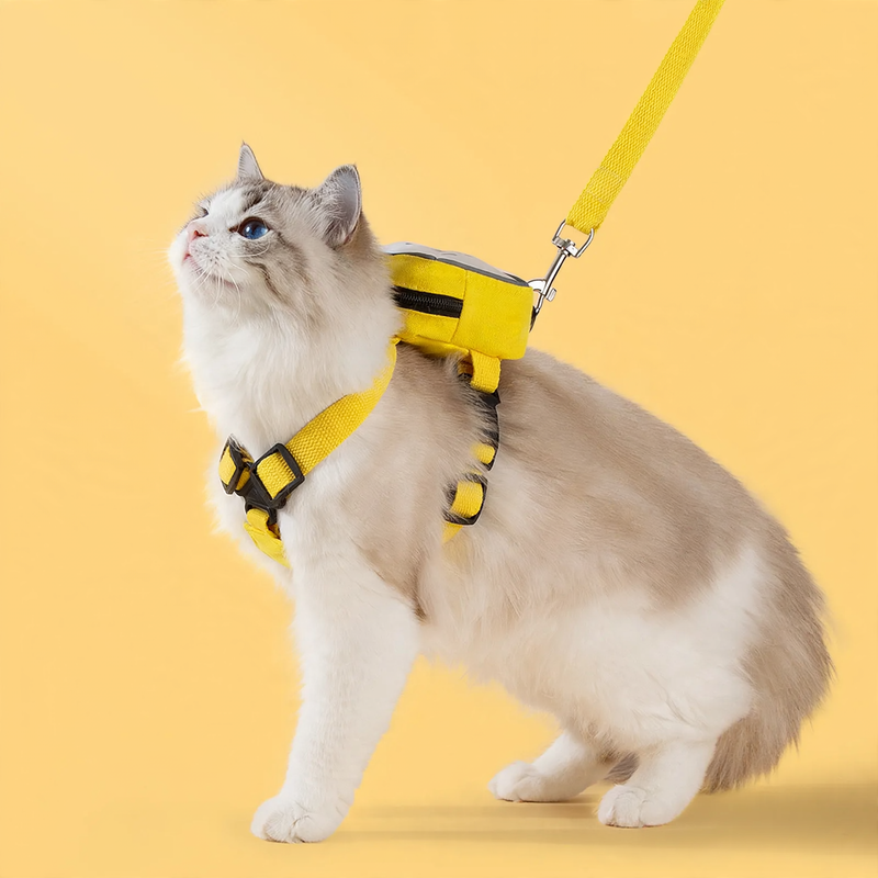 Chest harness with transparent backpack for cats