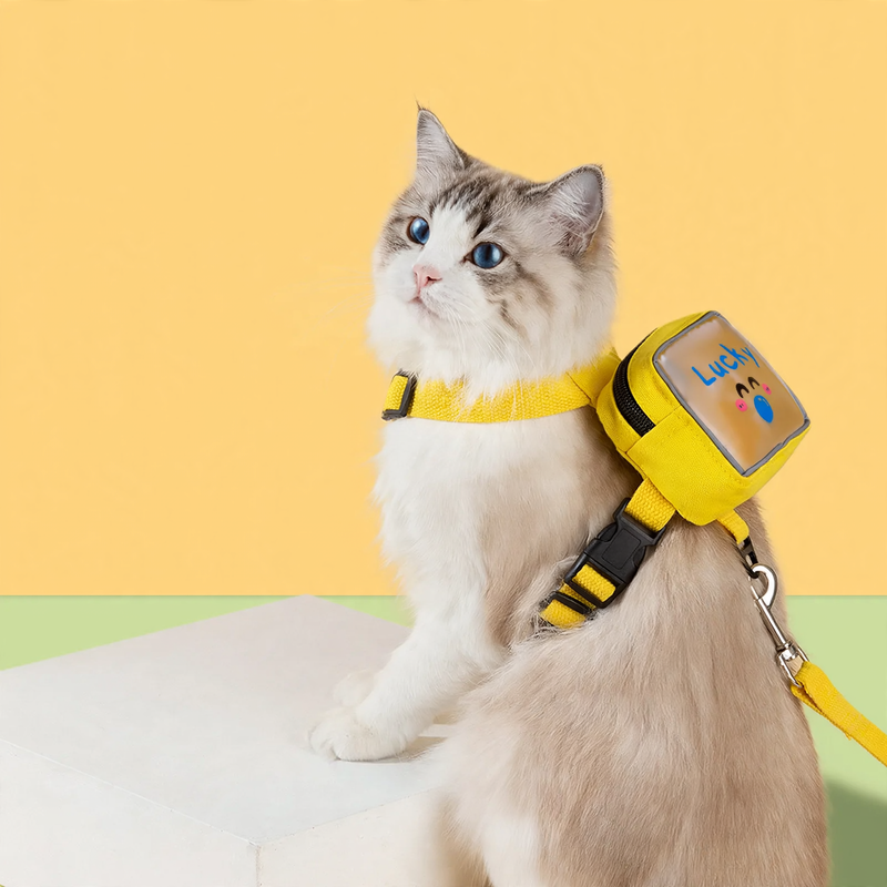Chest harness with transparent backpack for cats