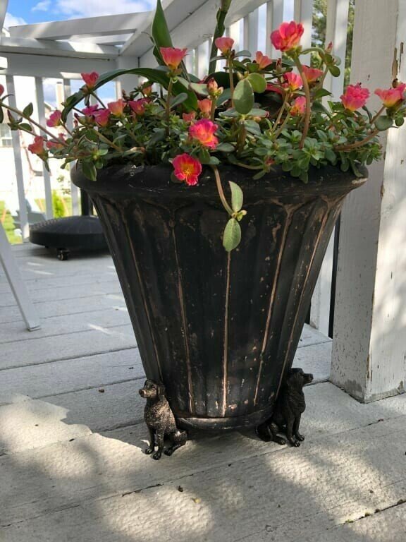 Siopsrl| Potty Feet Plant Pot Feet