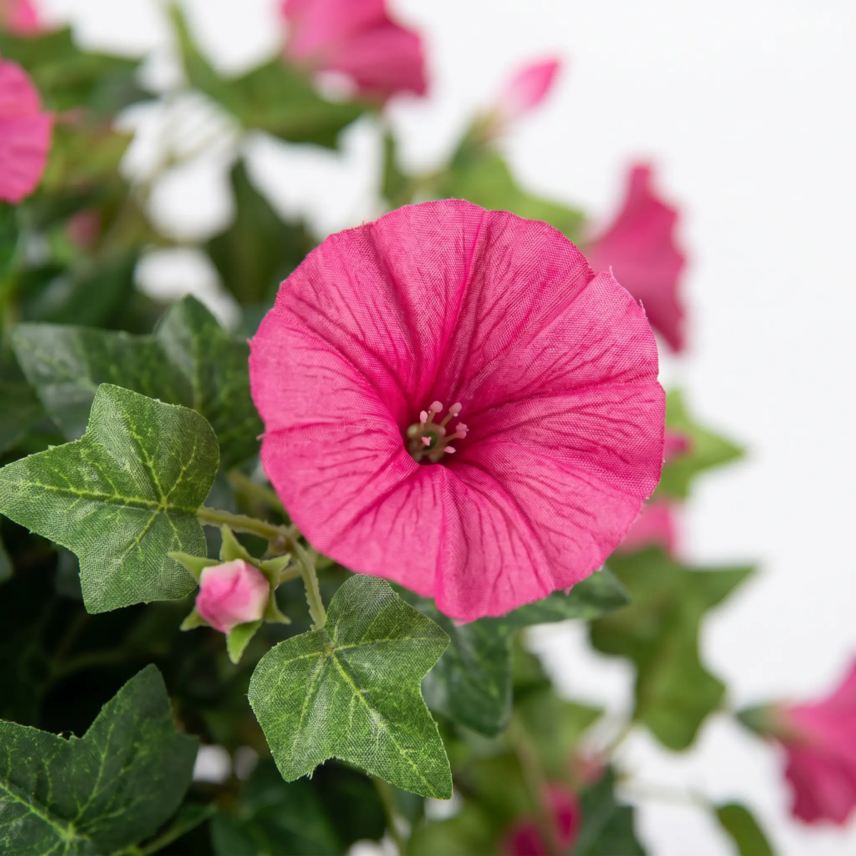 siopsrl | Realistic, UV-resistant artificial morning glory - Buy one, get one!