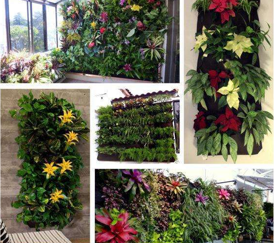 Siopsrl| Plant wall bags for garden – Vertical planter for indoors and outdoors