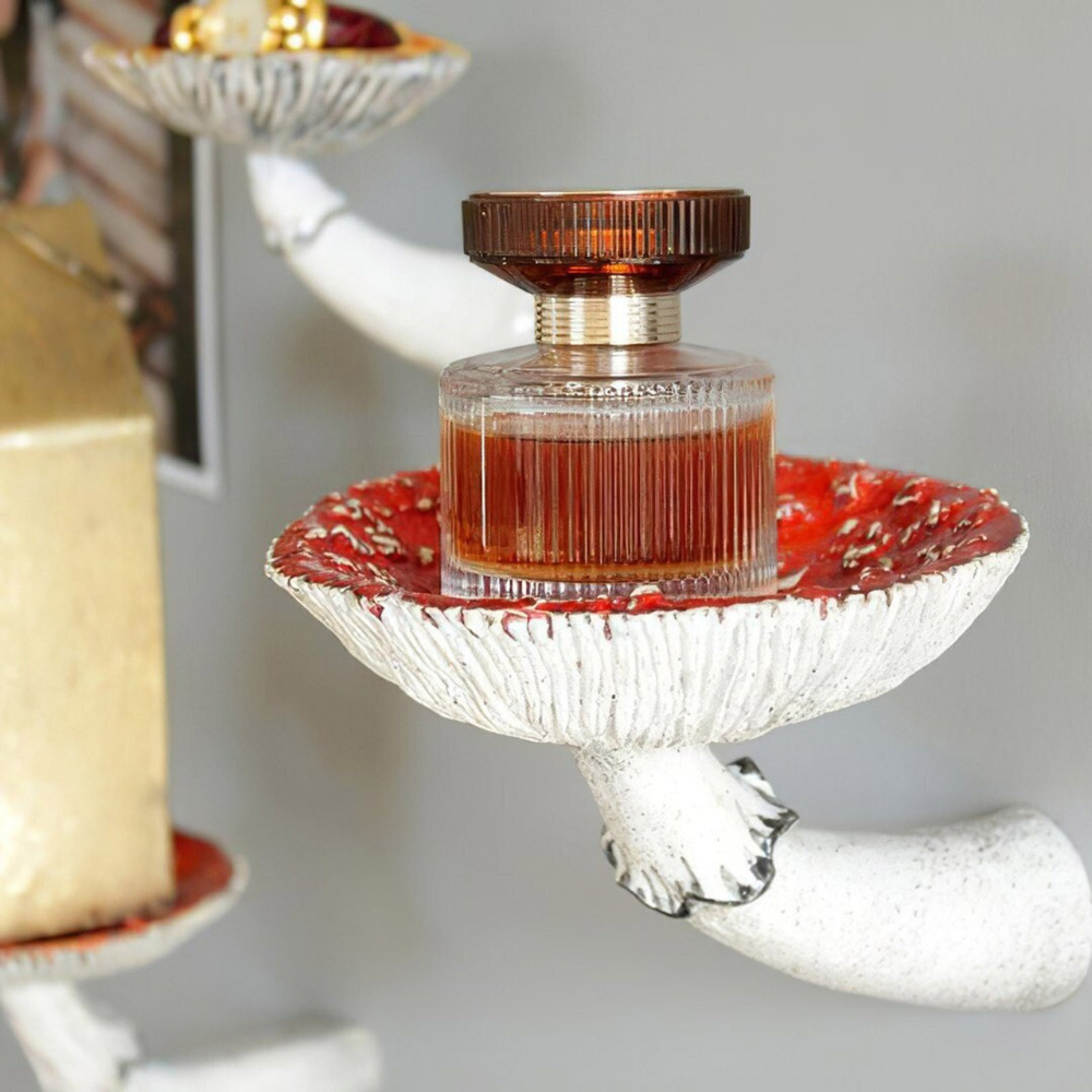 Siopsrl| Floating Mushroom Shelf