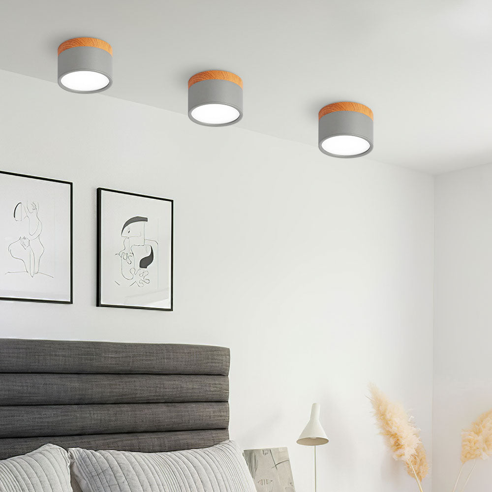 Siopsrl| LED Ceiling Light Modern Flush Mount Cylinder