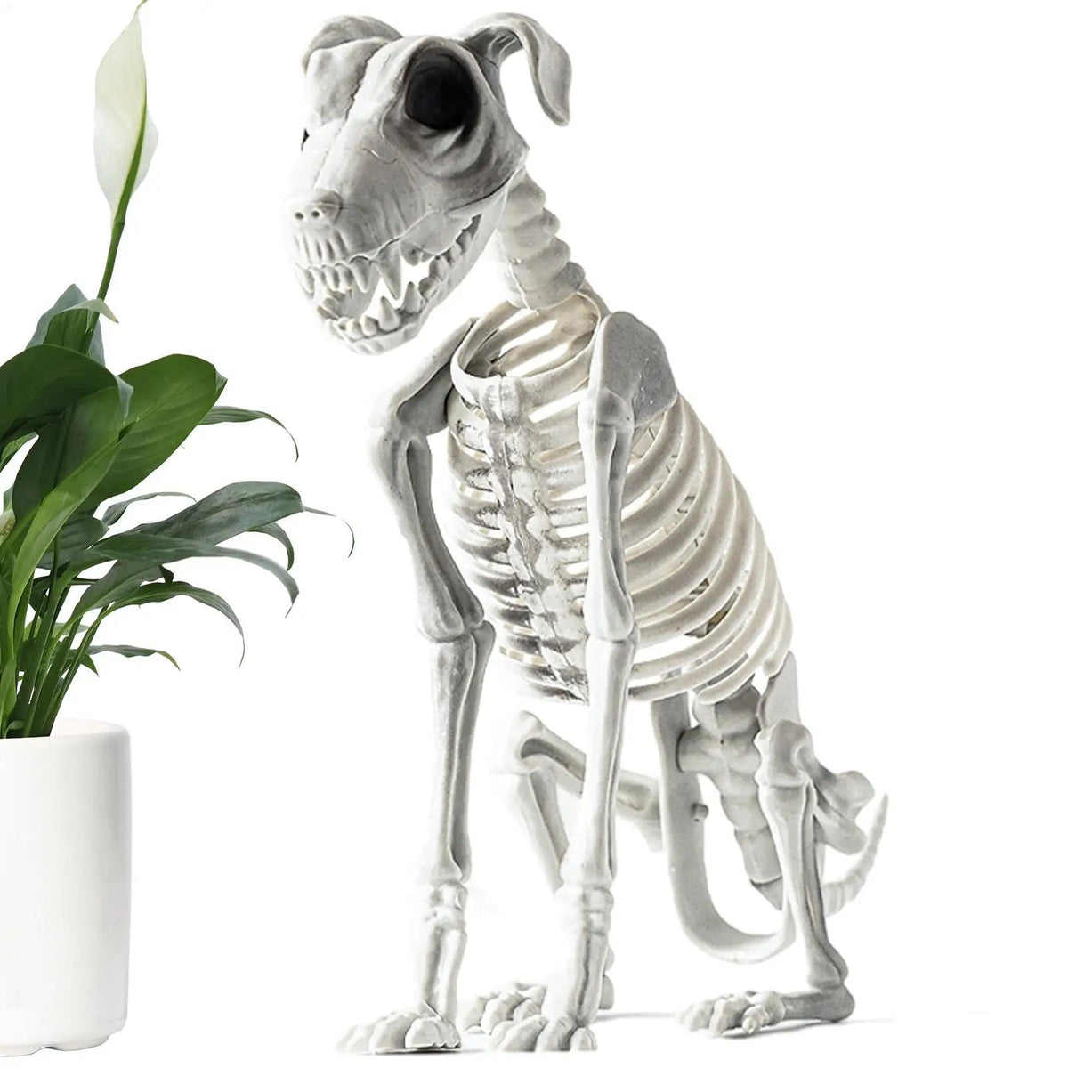 Siopsrl| Spooky Skeleton Dog Halloween Decor Statue