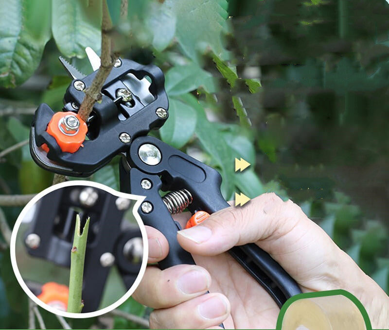 Siopsrl| Manual Tree Grafting Scissors