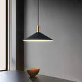 Siopsrl| Simple Modern Conical LED Pendant Light