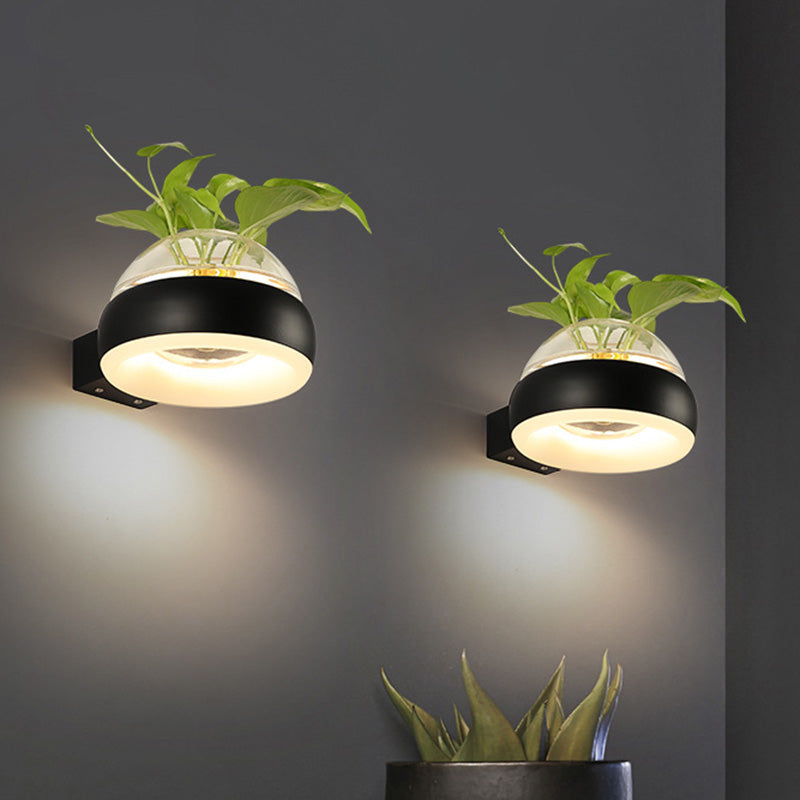 Siopsrl| Clear Glass Dome Wall Lighting Industry 1 Bulb Bedroom LED Wall Light Lamp in Black/Grey/White with Plant Holder