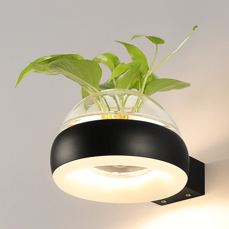Siopsrl| Clear Glass Dome Wall Lighting Industry 1 Bulb Bedroom LED Wall Light Lamp in Black/Grey/White with Plant Holder