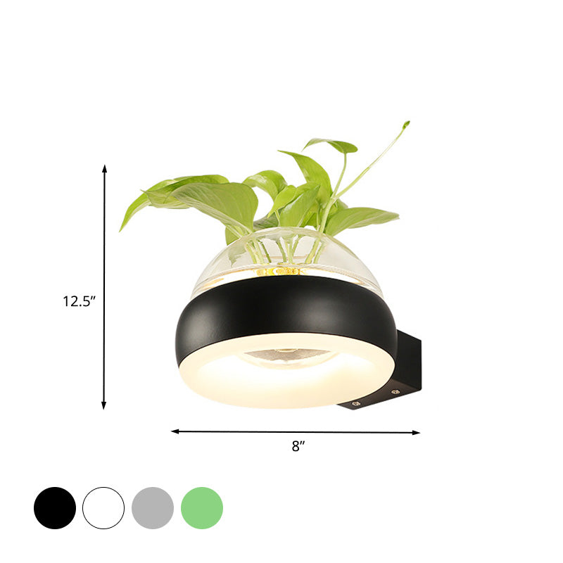 Siopsrl| Clear Glass Dome Wall Lighting Industry 1 Bulb Bedroom LED Wall Light Lamp in Black/Grey/White with Plant Holder