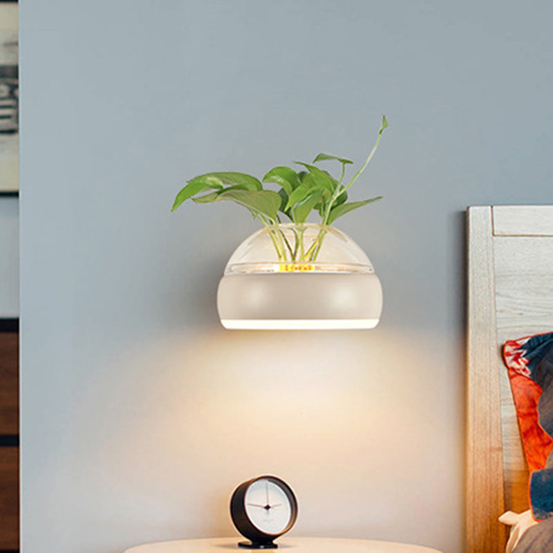 Siopsrl| Clear Glass Dome Wall Lighting Industry 1 Bulb Bedroom LED Wall Light Lamp in Black/Grey/White with Plant Holder