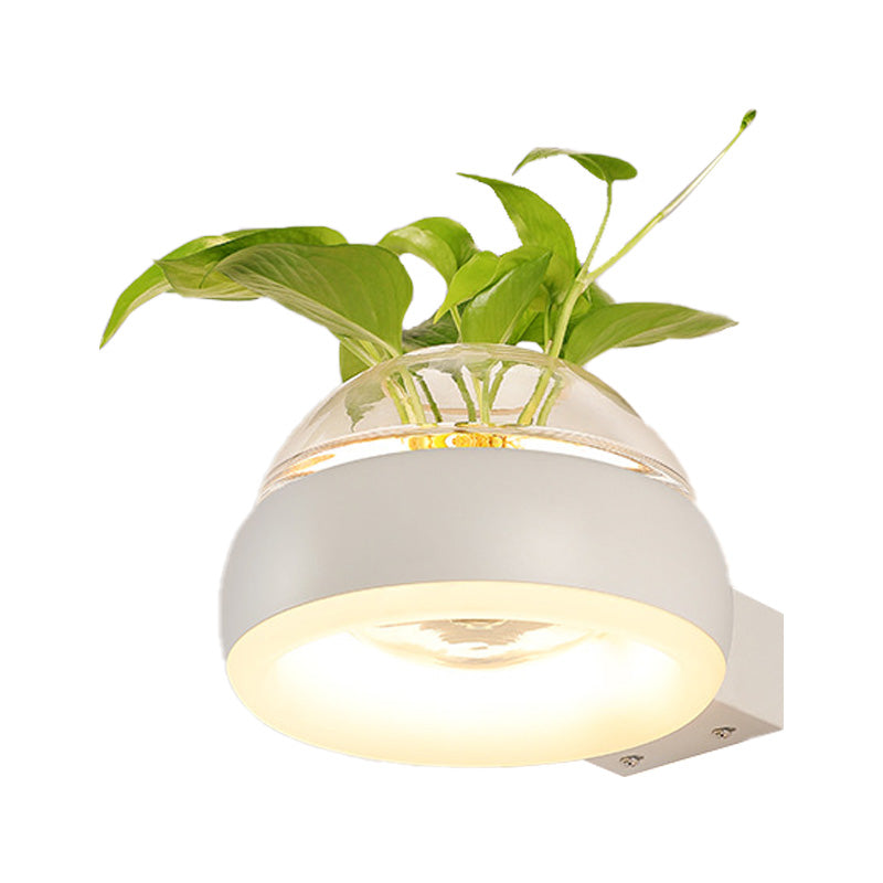 Siopsrl| Clear Glass Dome Wall Lighting Industry 1 Bulb Bedroom LED Wall Light Lamp in Black/Grey/White with Plant Holder