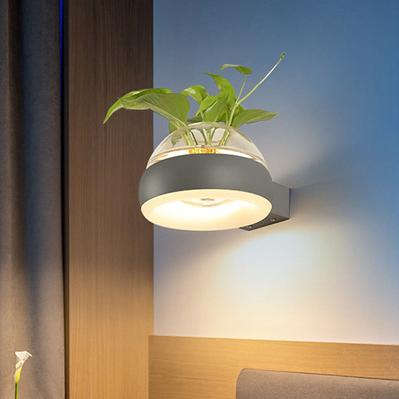 Siopsrl| Clear Glass Dome Wall Lighting Industry 1 Bulb Bedroom LED Wall Light Lamp in Black/Grey/White with Plant Holder