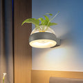 Siopsrl| Clear Glass Dome Wall Lighting Industry 1 Bulb Bedroom LED Wall Light Lamp in Black/Grey/White with Plant Holder