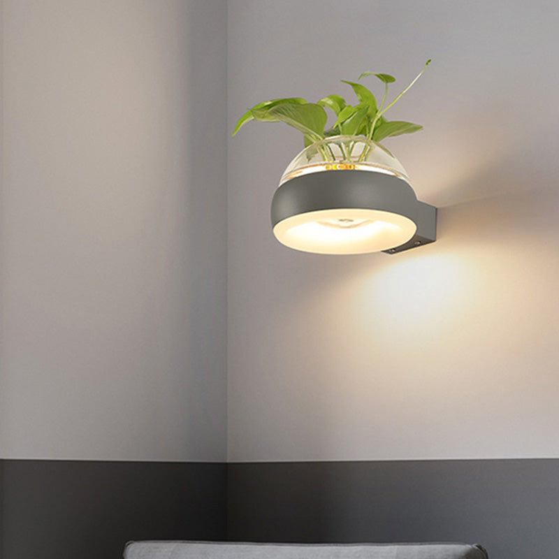 Siopsrl| Clear Glass Dome Wall Lighting Industry 1 Bulb Bedroom LED Wall Light Lamp in Black/Grey/White with Plant Holder