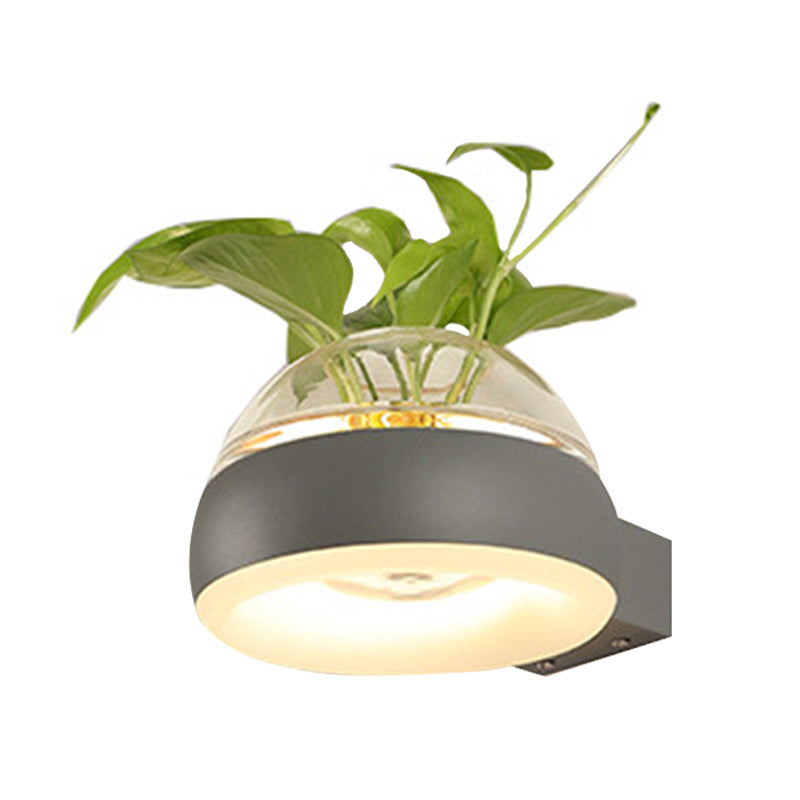 Siopsrl| Clear Glass Dome Wall Lighting Industry 1 Bulb Bedroom LED Wall Light Lamp in Black/Grey/White with Plant Holder