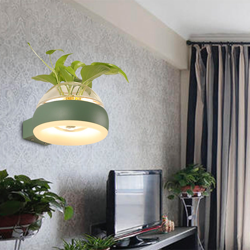 Siopsrl| Clear Glass Dome Wall Lighting Industry 1 Bulb Bedroom LED Wall Light Lamp in Black/Grey/White with Plant Holder