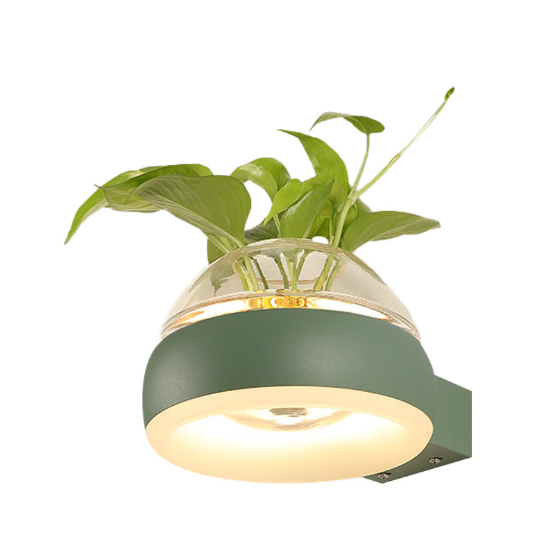 Siopsrl| Clear Glass Dome Wall Lighting Industry 1 Bulb Bedroom LED Wall Light Lamp in Black/Grey/White with Plant Holder