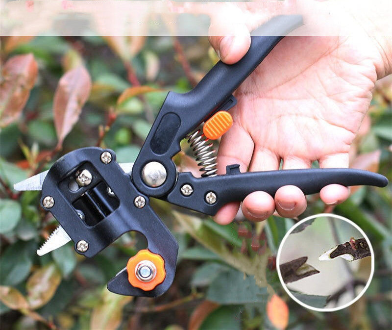 Siopsrl| Manual Tree Grafting Scissors