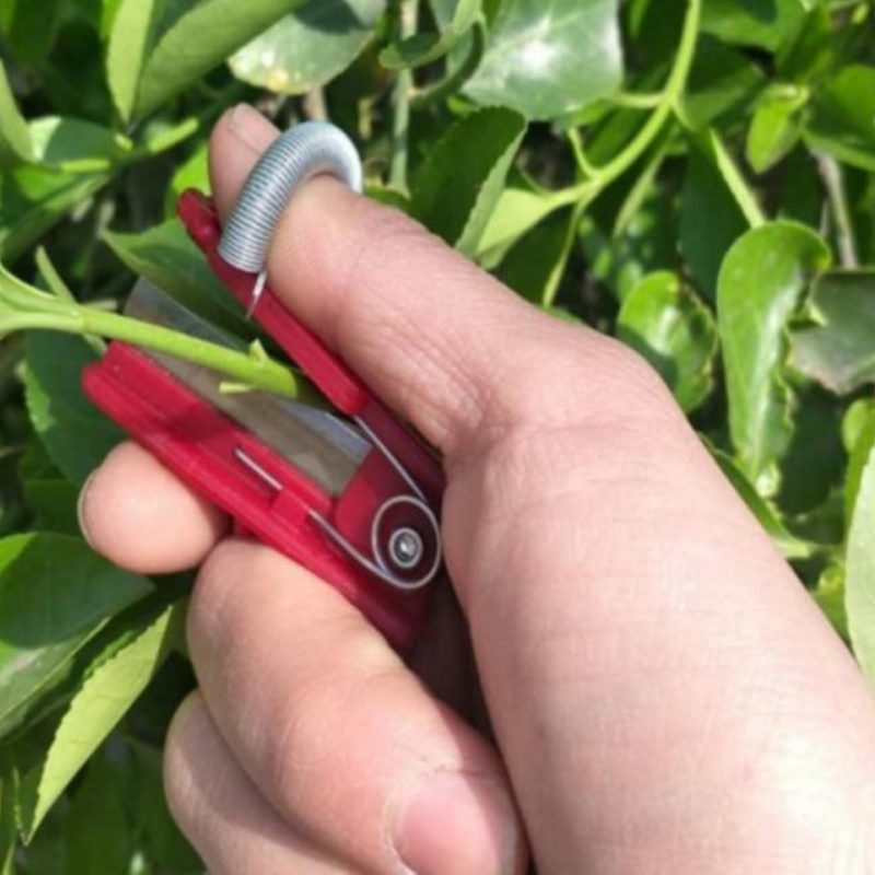 GardenGrip Tool – Easy Vegetable and Fruit Picking Siopsrl